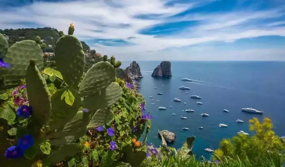 屠龙破晓
