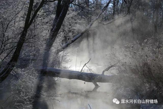 狙击精英4