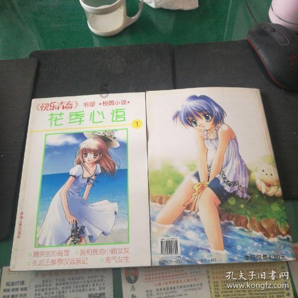 茜杰和莉斯大改造