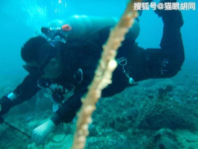 三祥新材涨停