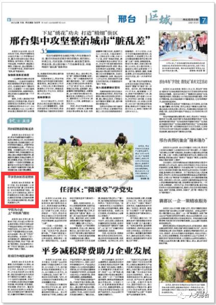 自如培训游戏画面