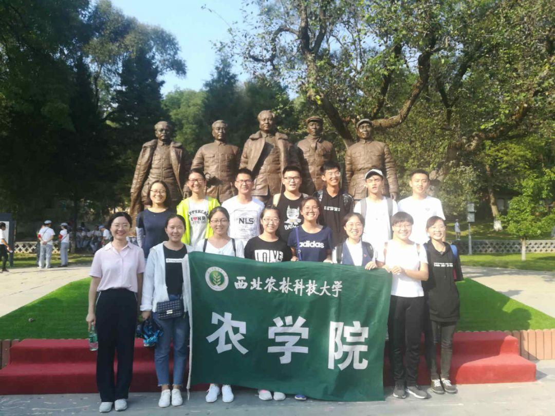 男子聚会喝多睡在家小区门口全身冻僵，双手双脚是否还能保住？游戏画面