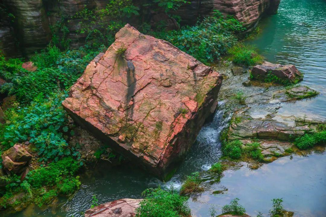 植物大战僵尸21