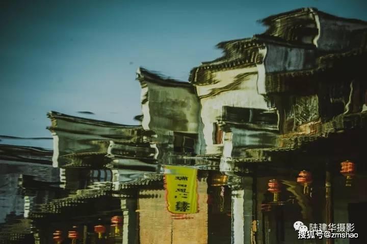 救援达尔马提亚狗