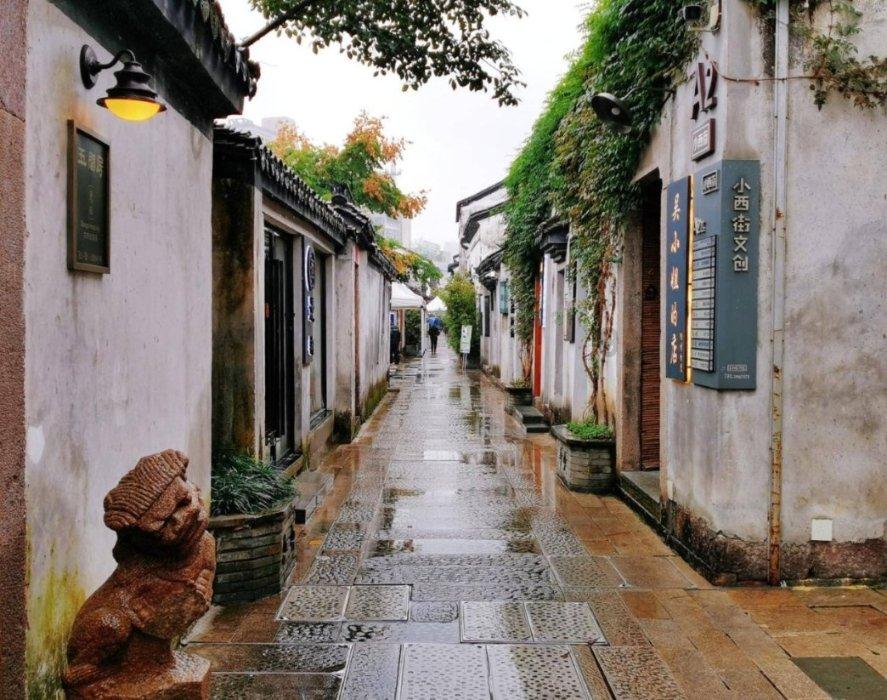 僵尸女友爱爬树
